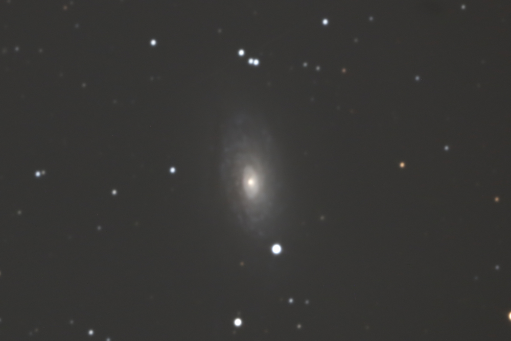 M94銀河 width=