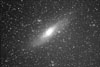 M31